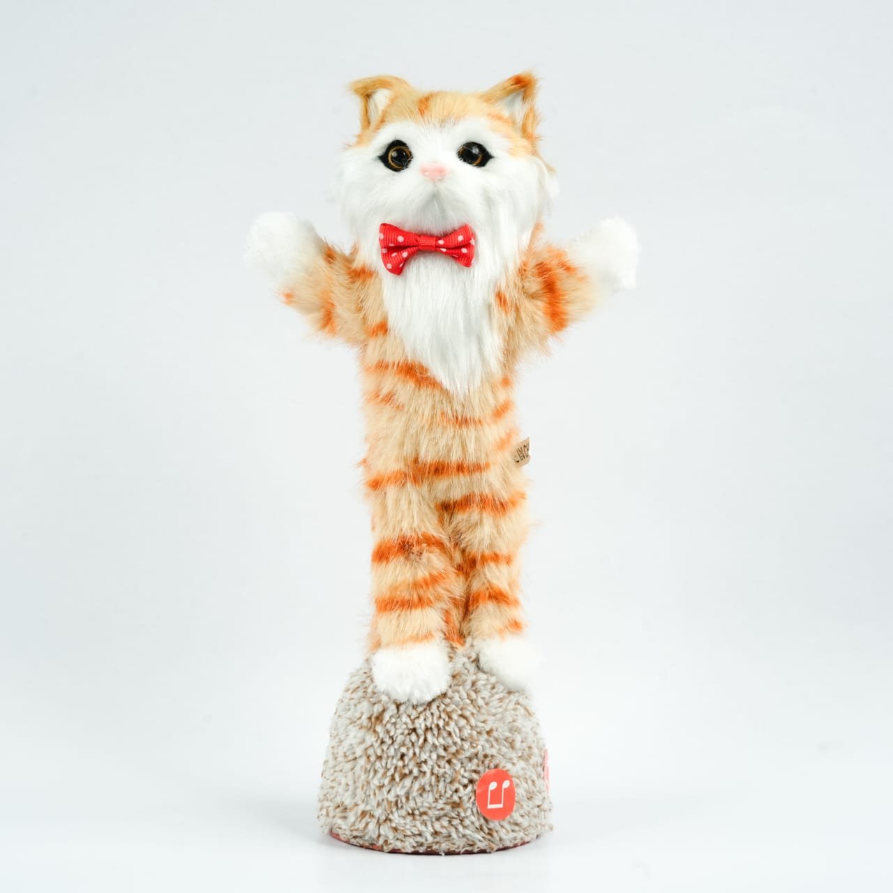 Talking Cat