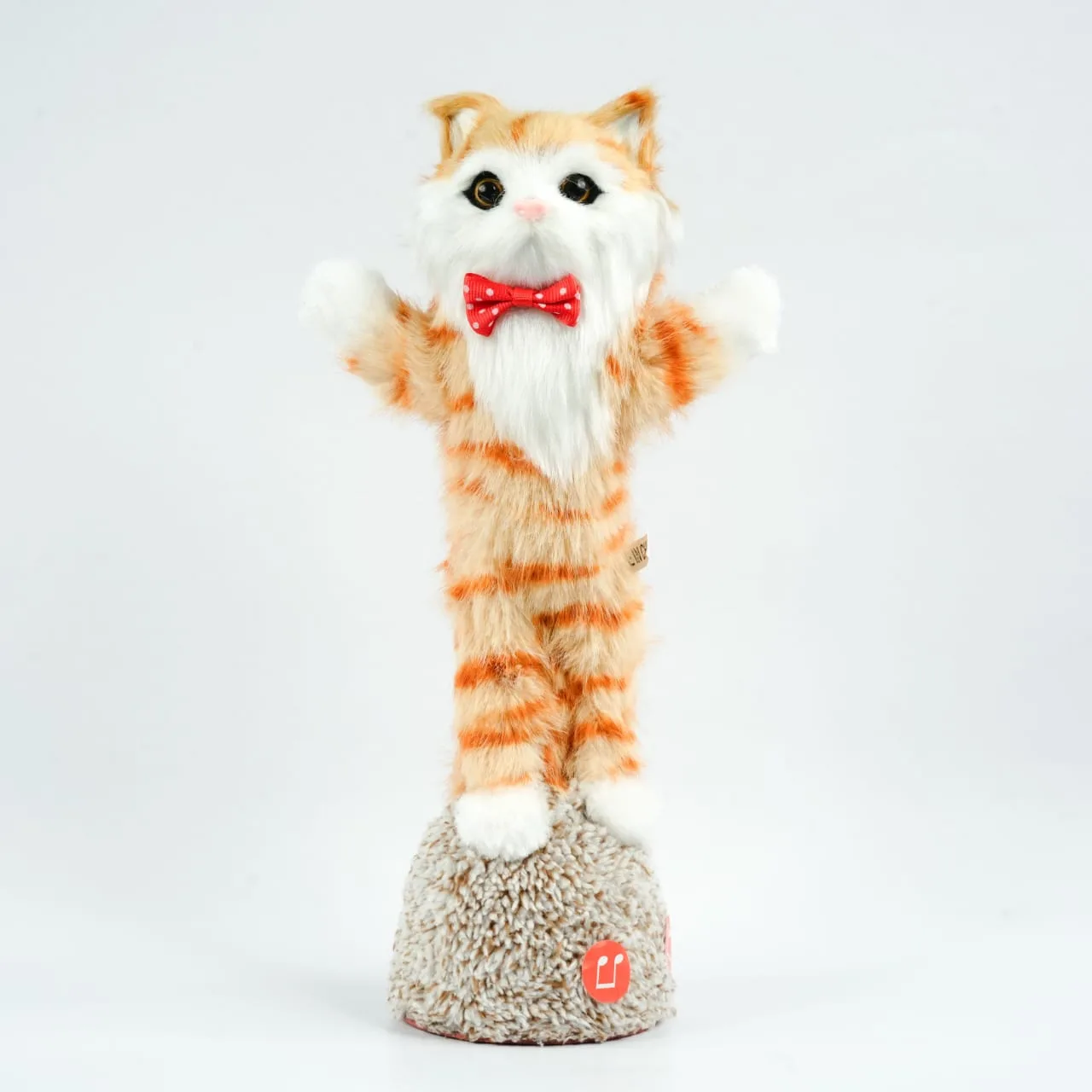 Talking Cat