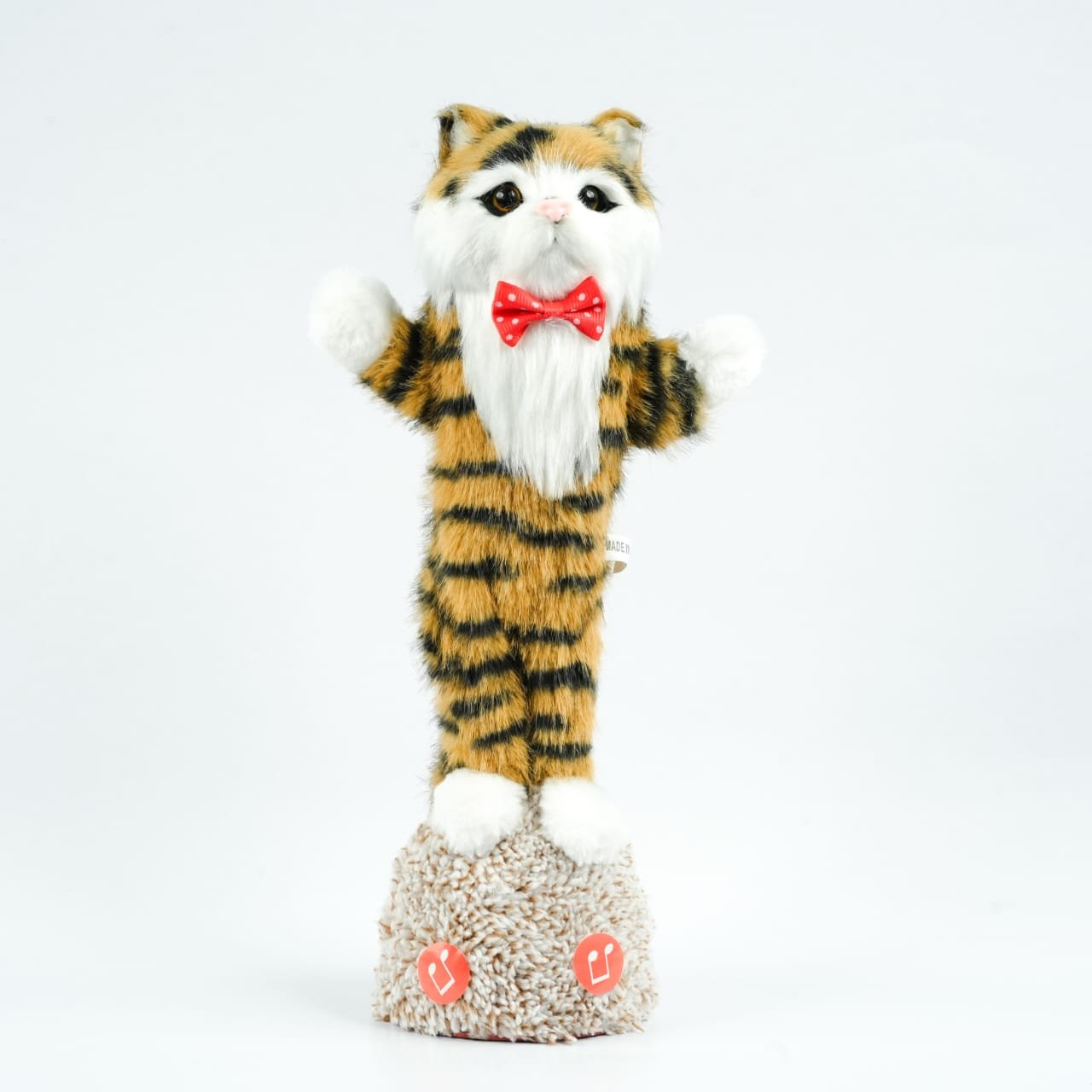 Talking Cat