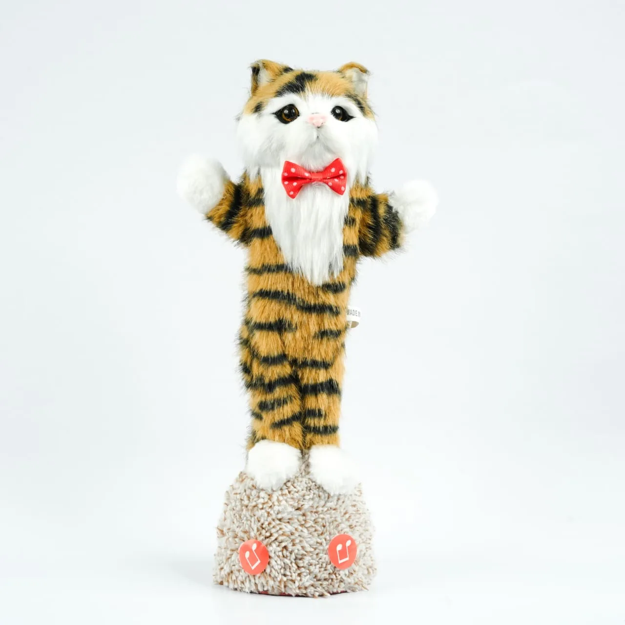 Talking Cat