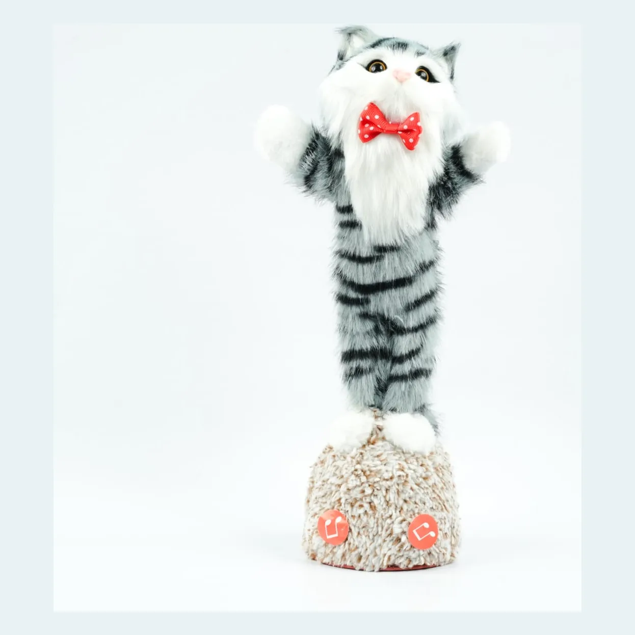 Talking Cat